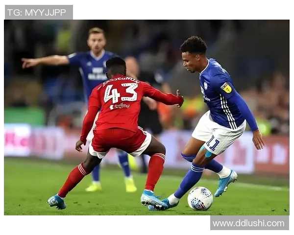 莱切主场迎战布赖顿双方争夺英超宝贵积分之战